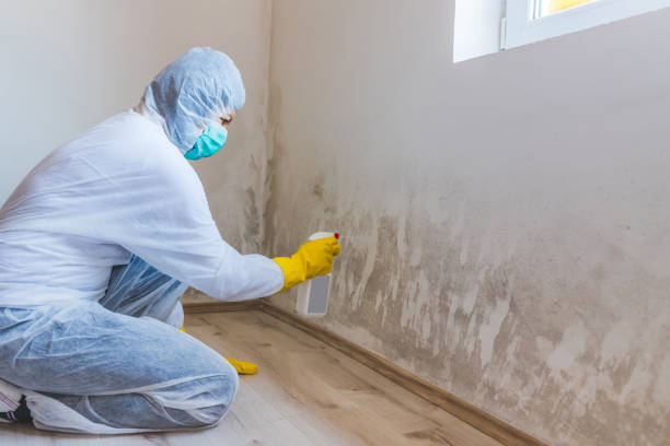 Hvac And Air Duct Mold Remediation inspection of HVAC system in Milroy