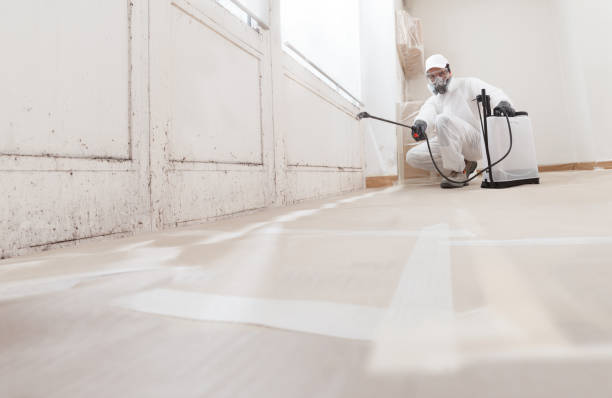 Black mold remediation team in Milroy