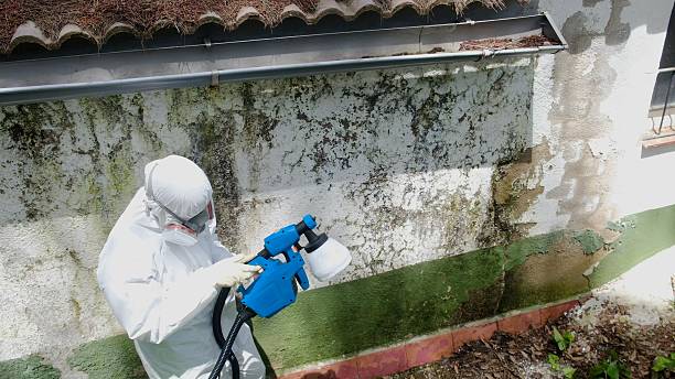 Mold Remediation service in Milroy, Milroy, PA